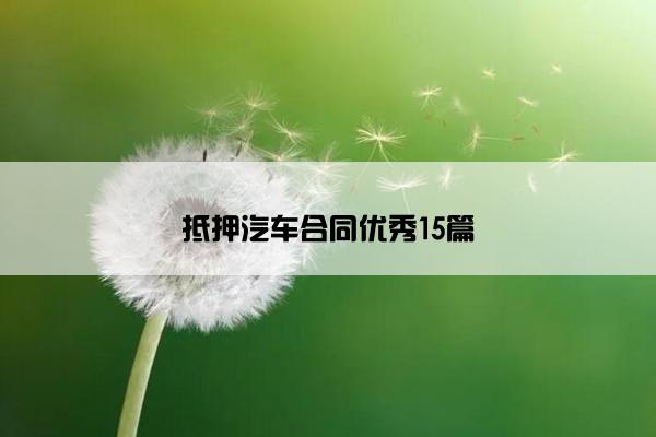 抵押汽车合同优秀15篇