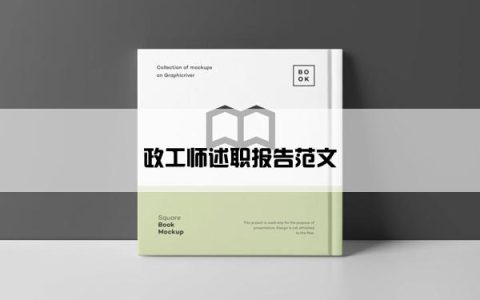 政工师述职报告范文