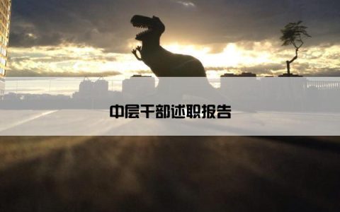 中层干部述职报告
