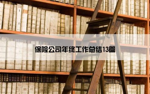 保险公司年终工作总结13篇