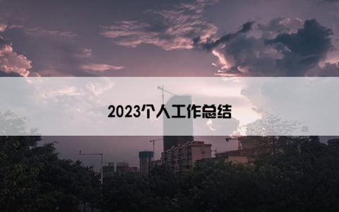 2023个人工作总结