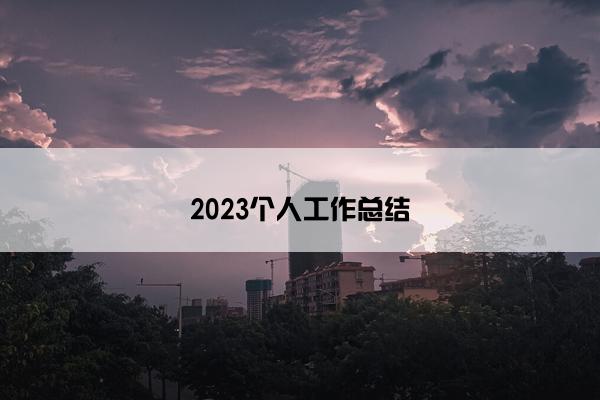 2023个人工作总结