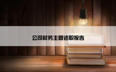公司财务主管述职报告