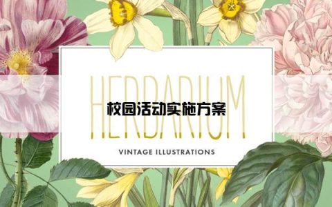 校园活动实施方案