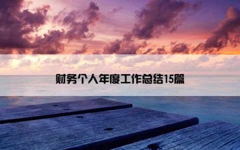 财务个人年度工作总结15篇