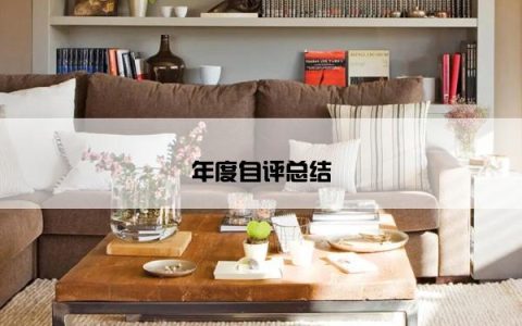 年度自评总结