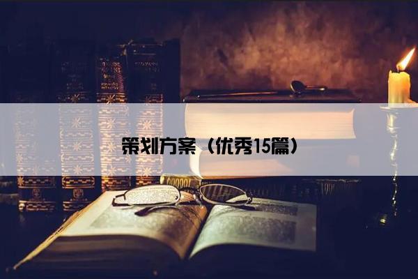 策划方案（优秀15篇）