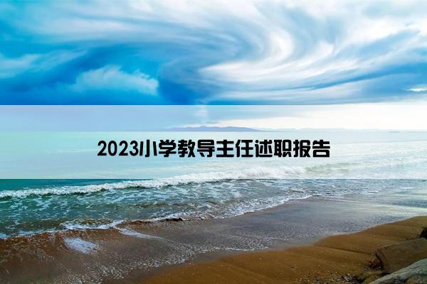 2023小学教导主任述职报告