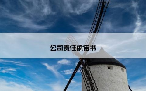 公司责任承诺书