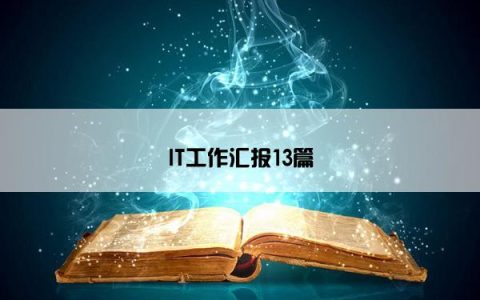 IT工作汇报13篇