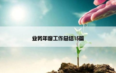 业务年度工作总结15篇