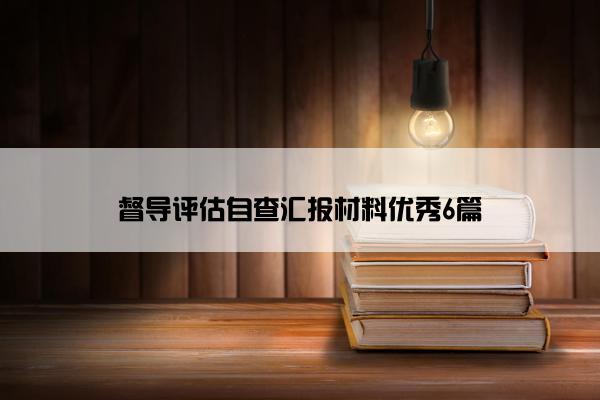 督导评估自查汇报材料优秀6篇