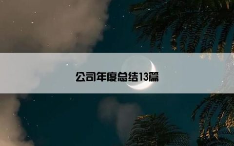 公司年度总结13篇