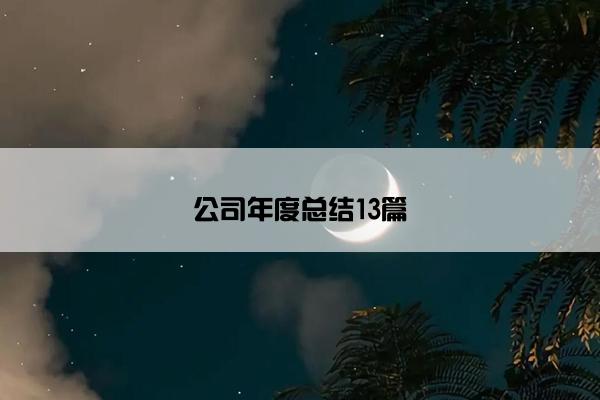 公司年度总结13篇