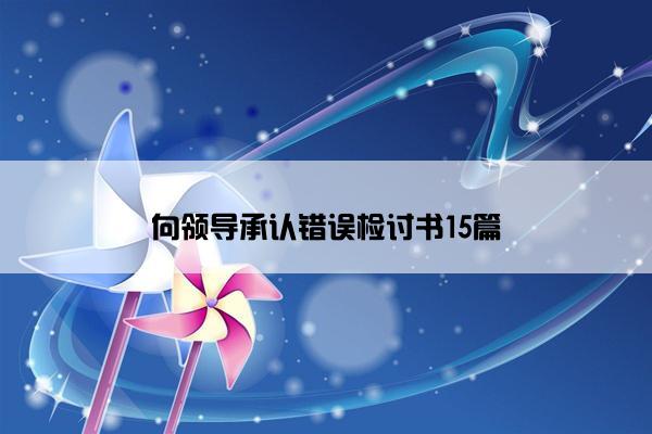 向领导承认错误检讨书15篇