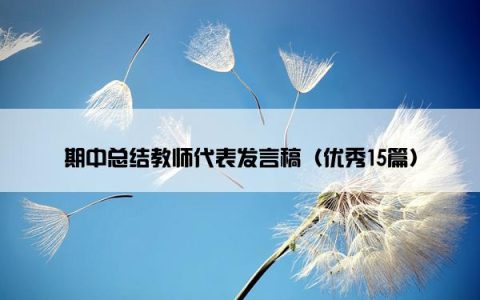 期中总结教师代表发言稿（优秀15篇）