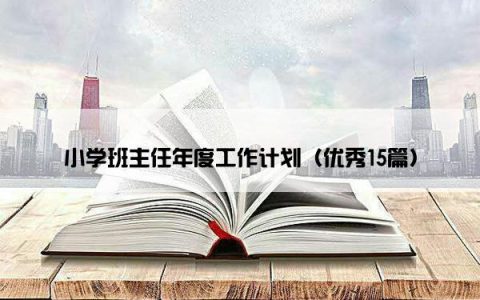 小学班主任年度工作计划（优秀15篇）