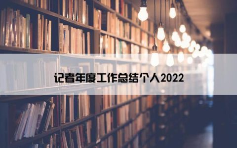 记者年度工作总结个人2022