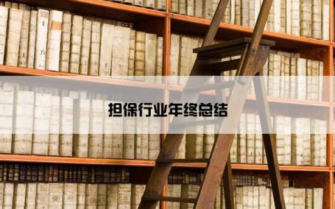 担保行业年终总结