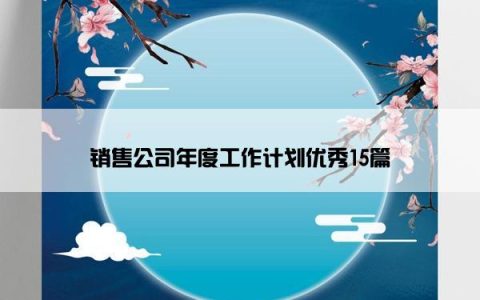 销售公司年度工作计划优秀15篇