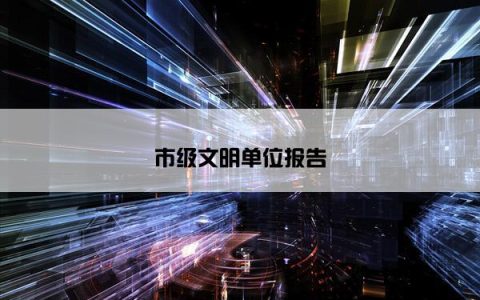 市级文明单位报告