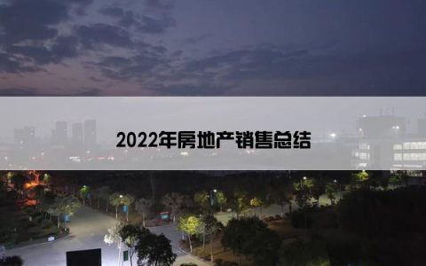 2022年房地产销售总结