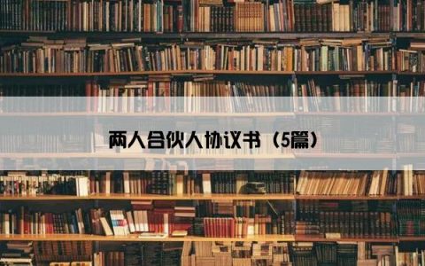 两人合伙人协议书（5篇）