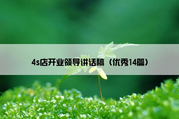 4s店开业领导讲话稿（优秀14篇）