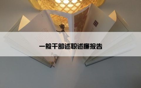 一般干部述职述廉报告