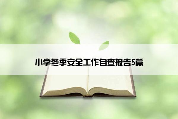 小学冬季安全工作自查报告5篇