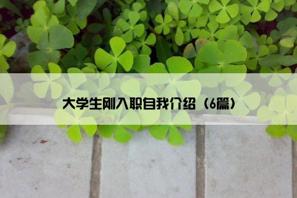 大学生刚入职自我介绍（6篇）