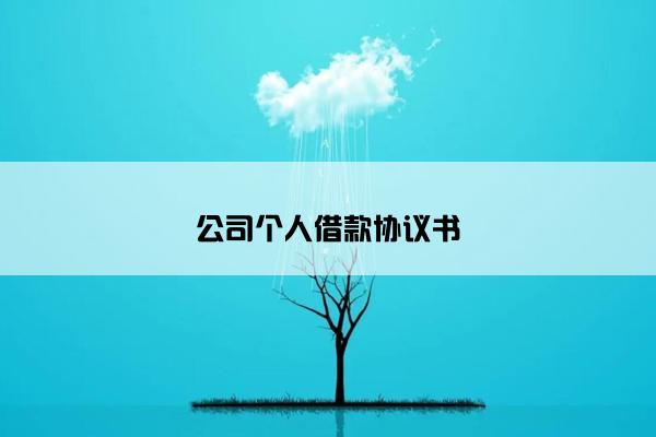 公司个人借款协议书