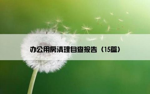 办公用房清理自查报告（15篇）