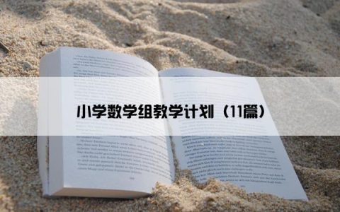 小学数学组教学计划（11篇）