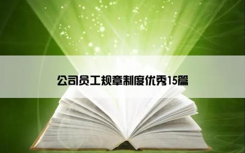 公司员工规章制度优秀15篇