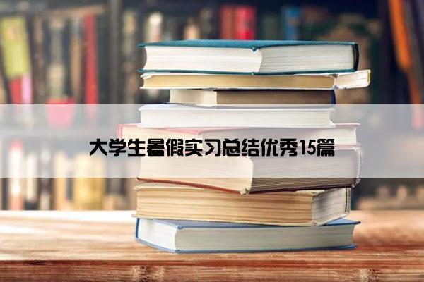 大学生暑假实习总结优秀15篇