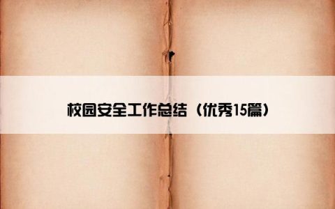 校园安全工作总结（优秀15篇）