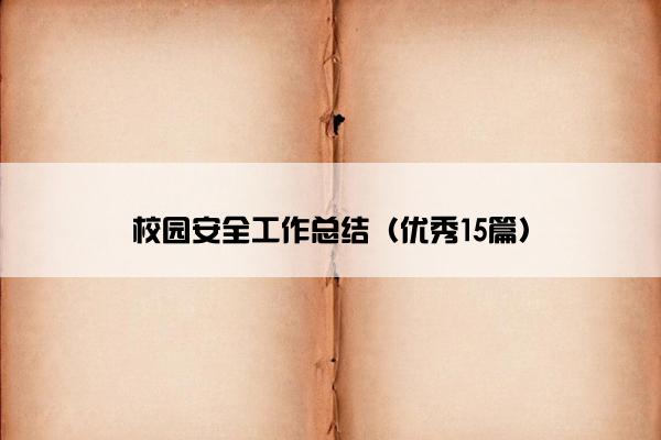 校园安全工作总结（优秀15篇）