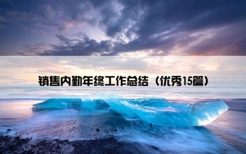 销售内勤年终工作总结（优秀15篇）