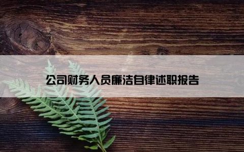 公司财务人员廉洁自律述职报告