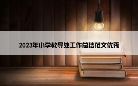 2023年小学教导处工作总结范文优秀