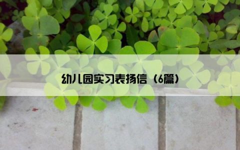 幼儿园实习表扬信（6篇）