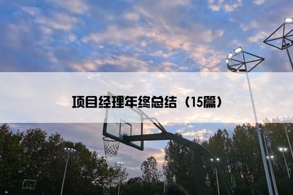 项目经理年终总结（15篇）