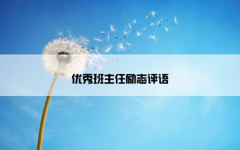 优秀班主任励志评语