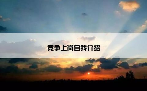 竞争上岗自我介绍