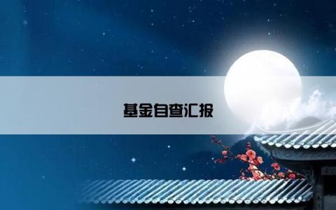 基金自查汇报