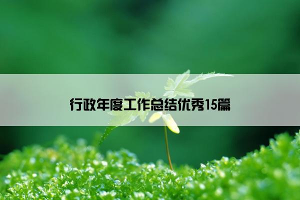 行政年度工作总结优秀15篇