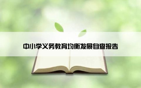 中小学义务教育均衡发展自查报告