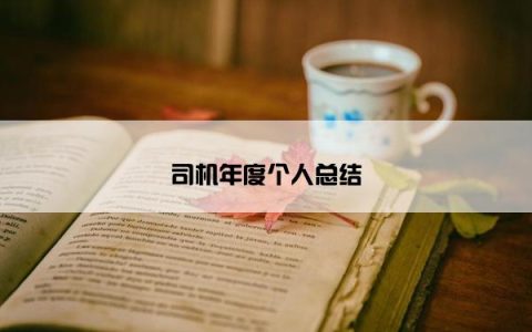 司机年度个人总结