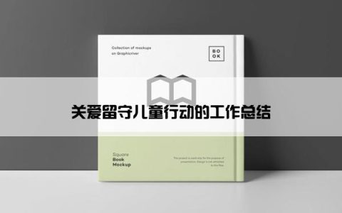 关爱留守儿童行动的工作总结